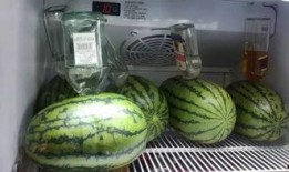 吃瓜群众试吃,舌尖上的美食之旅