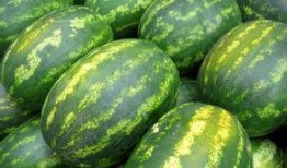 春季吃瓜的禁忌,健康饮食的注意事项