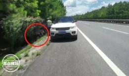 高速上吃瓜爷爷,吃瓜爷爷的意外走红